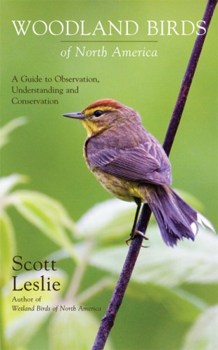 Stock image for Woodland Birds of North America: A Guide to Observion, Understanding and Conservation for sale by Montana Book Company