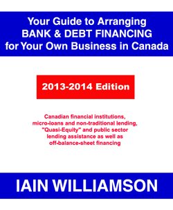 Beispielbild fr Your Guide to Arranging Bank and Debt Financing for Your Own Business in Canada 2013-2014 Edition zum Verkauf von Better World Books