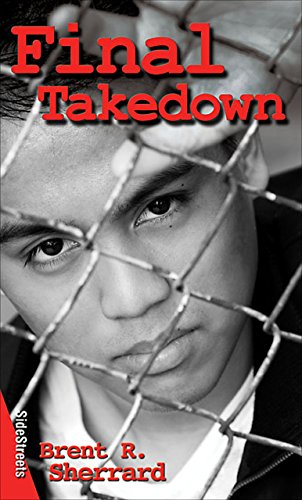 Stock image for Final Takedown Format: Paperback for sale by INDOO