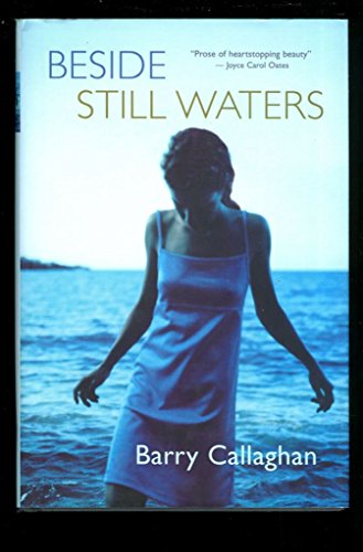 Stock image for Beside Still Waters for sale by WorldofBooks