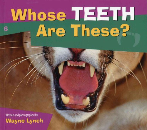 Stock image for Whose Teeth Are These? (Whose? Animal Series) for sale by Your Online Bookstore