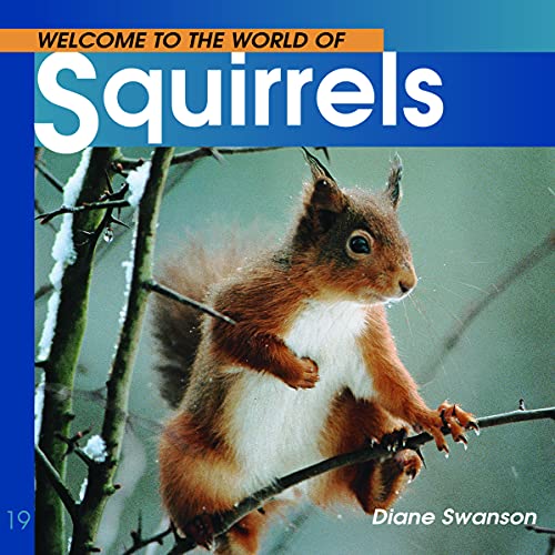 Beispielbild fr Welcome to the World of Squirrels zum Verkauf von Better World Books: West