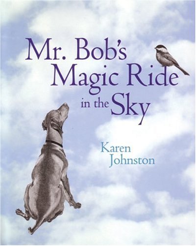 Mr. Bob's Magic Ride in the Sky (9781552853931) by Johnston, Karen