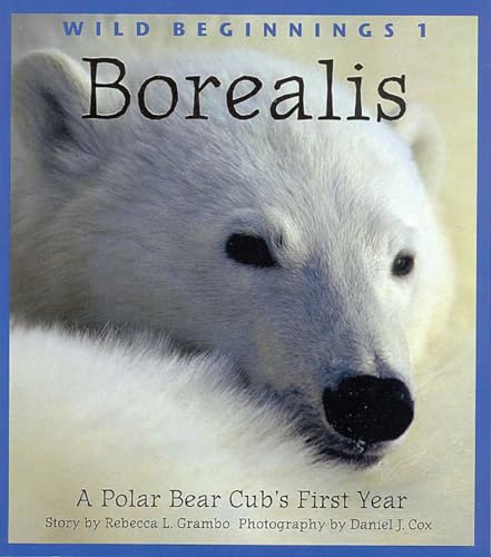 Beispielbild fr Borealis: A Polar Bear Cub's First Year (Wild Beginnings Series) zum Verkauf von Wonder Book