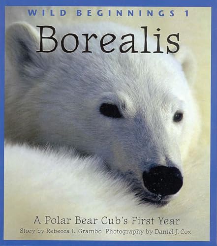 Imagen de archivo de Borealis : A Polar Bear Cub's First Year a la venta por Better World Books: West