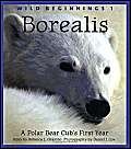 Stock image for Borealis: A Polar Bear Cub's First Year (Wild Beginnings Series) for sale by SecondSale
