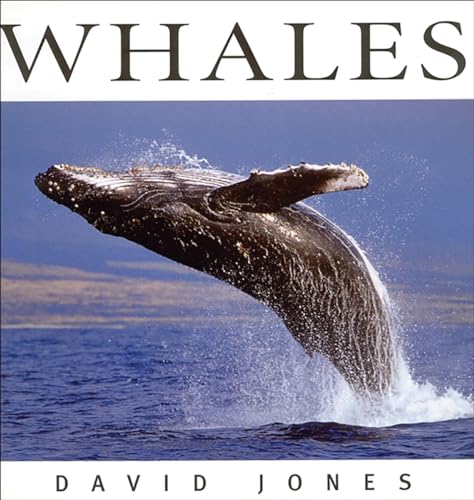 Imagen de archivo de Whales a la venta por Better World Books