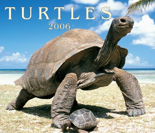 Turtles 2006 (9781552972380) by Firefly Books