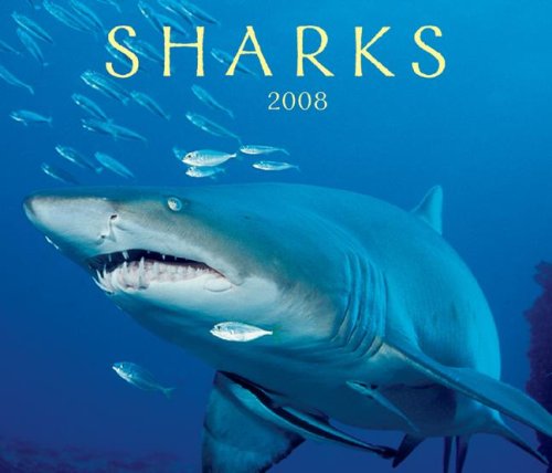 Sharks 2008 (9781552973226) by Firefly Books