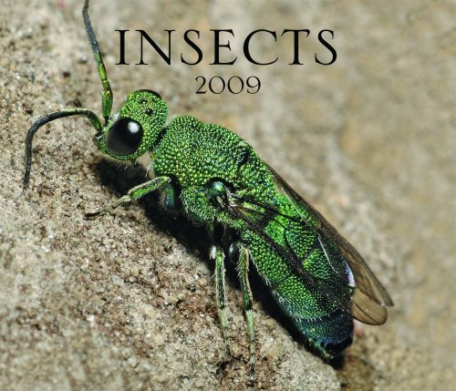 Insects 2009 (9781552973455) by Firefly Books