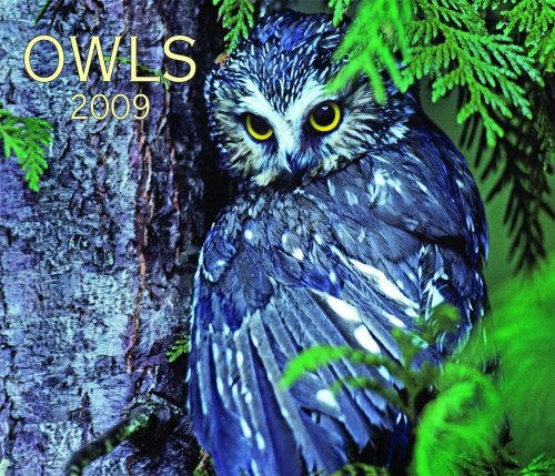 Owls 2009 (9781552973493) by Firefly Books