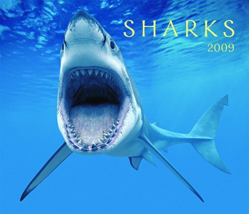 9781552973554: Sharks 2009 Calendar