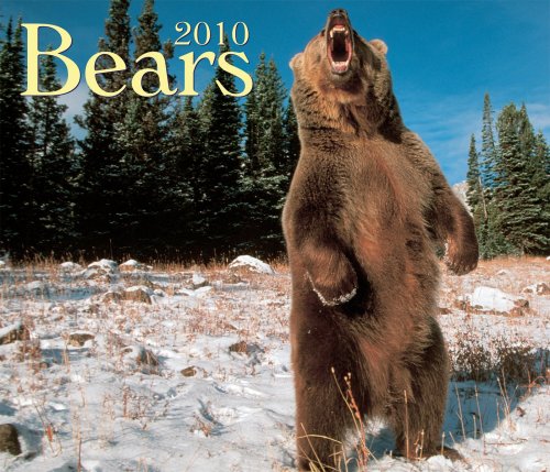 9781552973769: Bears 2010 Calendar