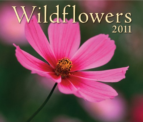 Wildflowers 2011 Calendar (9781552974377) by Firefly Books