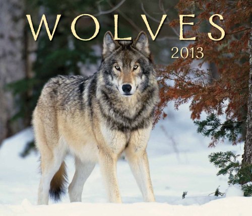 Wolves 2013 (9781552974872) by Firefly Books