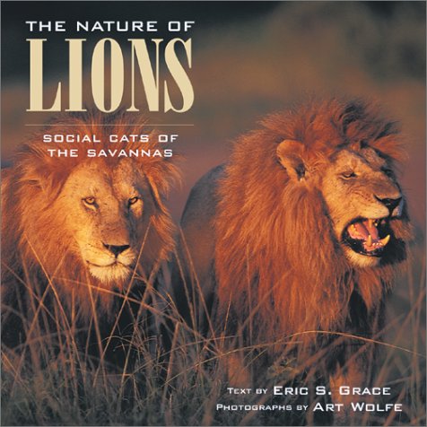 Imagen de archivo de The Nature of Lions : Social Cats of the Savannas a la venta por Better World Books: West