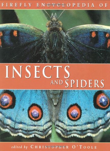 Imagen de archivo de Firefly Encyclopedia of Insects and Spiders a la venta por Better World Books