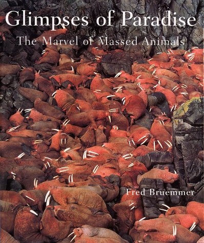 Beispielbild fr Glimpses of Paradise : The Marvel of Massed Animals zum Verkauf von Better World Books