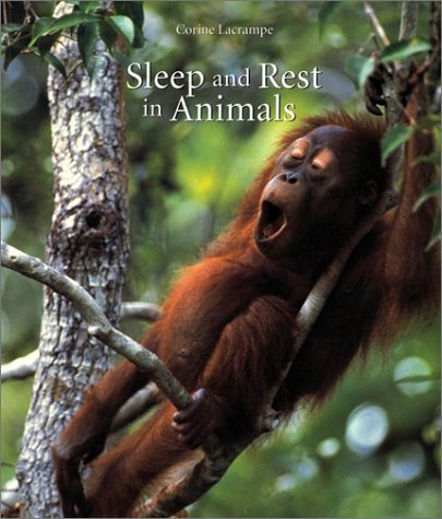 Imagen de archivo de Sleep and Rest in Animals a la venta por Better World Books: West