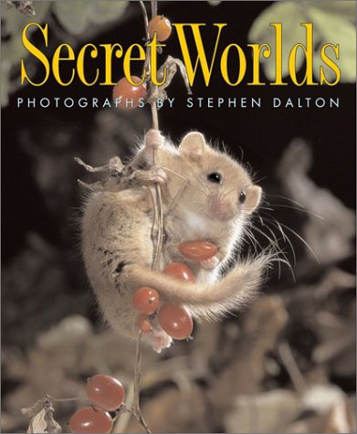 Stock image for Secret Worlds for sale by More Than Words