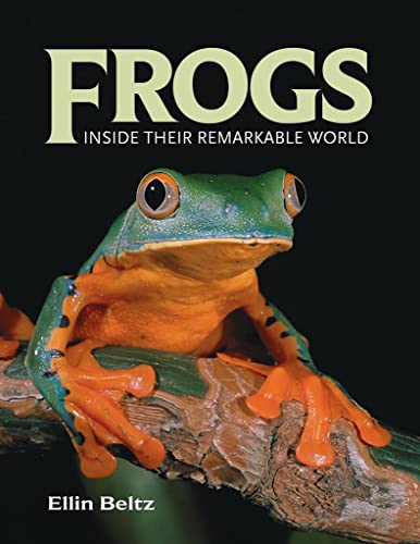 Stock image for Frogs: Inside Their Remarkable World for sale by ThriftBooks-Reno