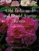 9781552978801: Old-fashioned and David Austin Roses