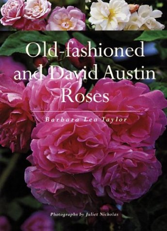 Stock image for Old-fashioned and David Austin Roses for sale by Books Unplugged