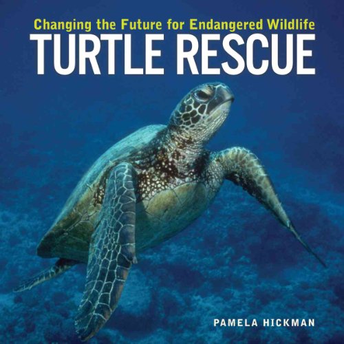 Imagen de archivo de Turtle Rescue: Changing the Future for Endangered Wildlife (Firefly Animal Rescue) a la venta por HPB-Ruby