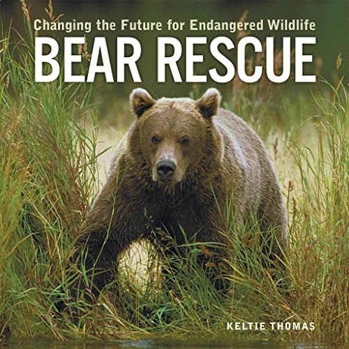 Imagen de archivo de Changing the Future for Endangered Wildlife: Bear Rescue a la venta por BookHolders