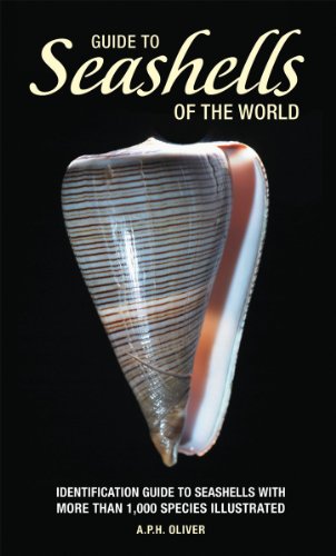 Stock image for Guide to Seashells of the World (Firefly Pocket series) for sale by Goodwill