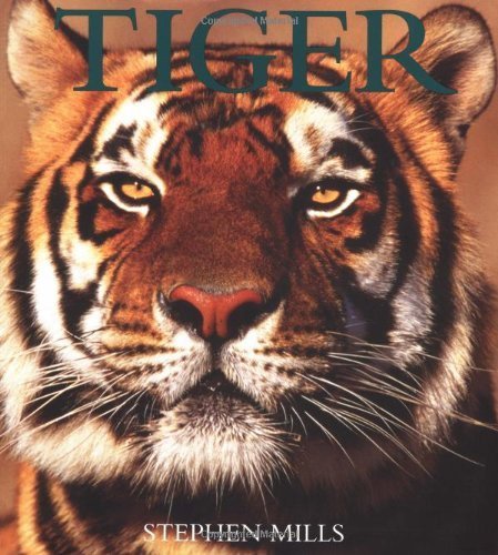 Beispielbild fr Tiger zum Verkauf von Better World Books