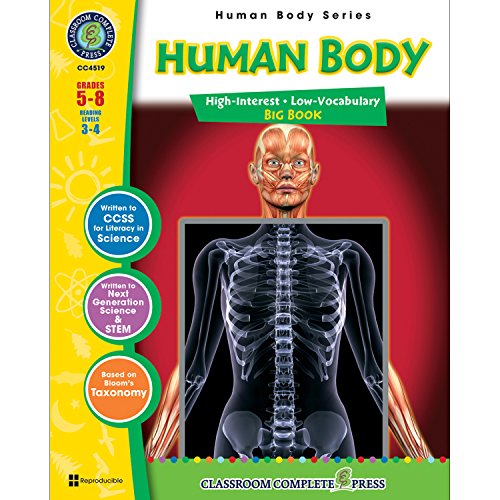 Stock image for Human Body (Big Book) for sale by Better World Books