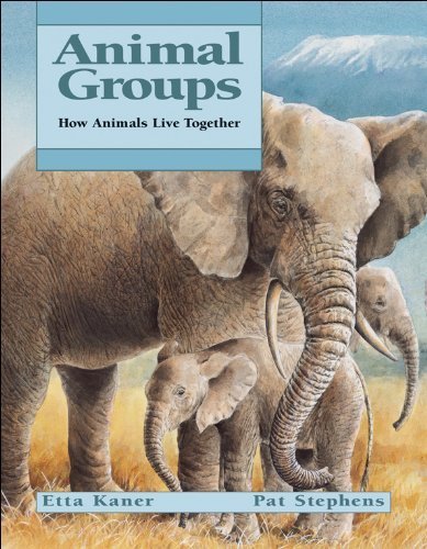 9781553373377: Animal Groups: How Animals Live Together (Animal Behavior)