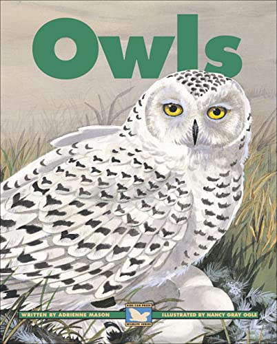 Beispielbild fr Owls zum Verkauf von Better World Books