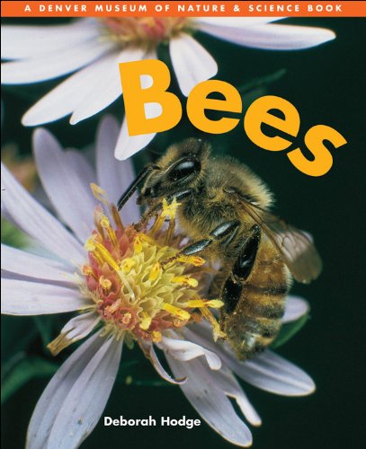 Beispielbild fr Bees (Denver Museum Insect Books) zum Verkauf von Wonder Book