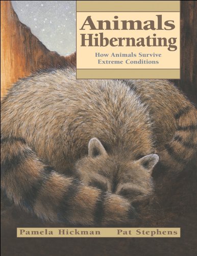 Imagen de archivo de Animals Hibernating: How Animals Survive Extreme Conditions a la venta por ThriftBooks-Dallas