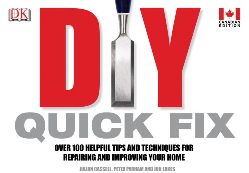 9781553630968: Diy Quick Fix