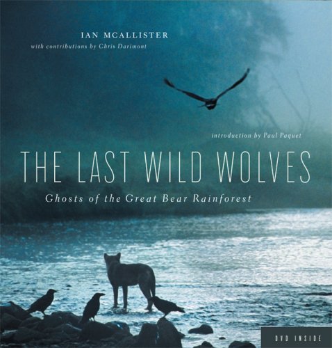 Stock image for Last Wild Wolves : Ghosts of the Great Bear Rainforest for sale by Better World Books: West