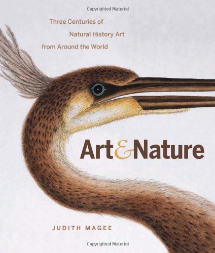 Imagen de archivo de Art and Nature: Three Centuries of Natural History Art from Around the World a la venta por Half Price Books Inc.