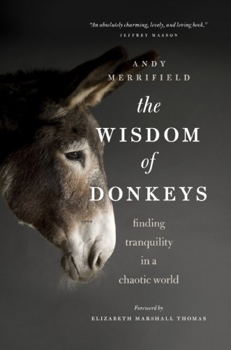 Stock image for The Wisdom of Donkeys: Finding Tranquility in a Chaotic World for sale by Hourglass Books