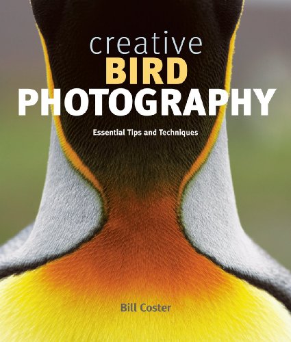 Stock image for Creative Bird Photography: Essential Tips and Techniques for sale by ThriftBooks-Atlanta