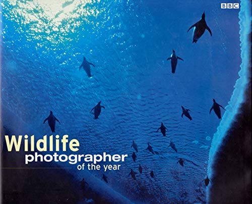 Beispielbild fr Wildlife Photographer of the Year: Portfolio 11 zum Verkauf von ThriftBooks-Dallas