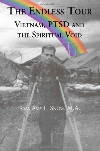 Beispielbild fr The Endless Tour: Vietnam, PTSD and the Spiritual Void zum Verkauf von COLLINS BOOKS