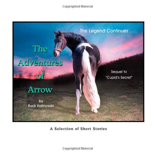 Imagen de archivo de The Adventures of Arrow a la venta por Books of the Smoky Mountains