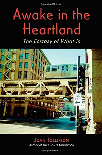 Imagen de archivo de Awake in the Heartland: The Ecstasy of What Is a la venta por ThriftBooks-Atlanta