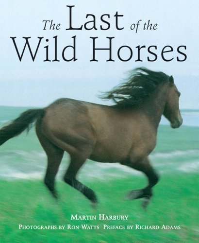 Beispielbild fr The Last of the Wild Horses zum Verkauf von Wonder Book