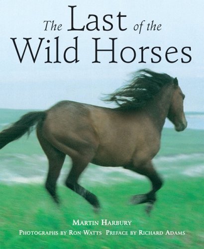 Imagen de archivo de The Last of the Wild Horses a la venta por Wonder Book