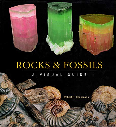 Stock image for Rocks and Fossils: A Visual Guide for sale by ThriftBooks-Dallas
