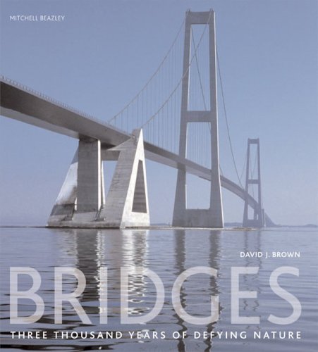 Imagen de archivo de Bridges : Three Thousand Years of Defying Nature a la venta por Better World Books: West