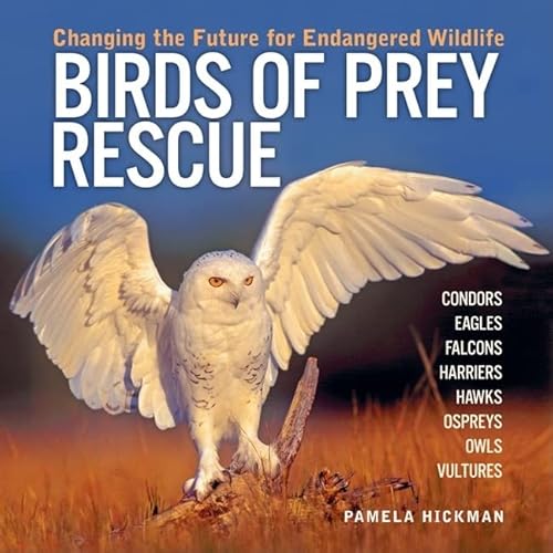 Stock image for Birds of Prey Rescue : Changing the Future for Endangered Wildlife for sale by Better World Books